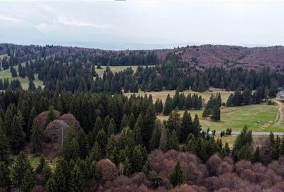 Teren cu potential:1.000 mp,proiect turistic/rezidential,Poiana Brasov - 5