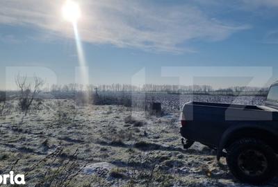 Teren de 50000 mp, în Ciorani - 9