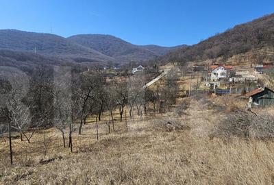 Teren intravilan de vanzare, 1550 mp, cu priveli?te panoram - 2