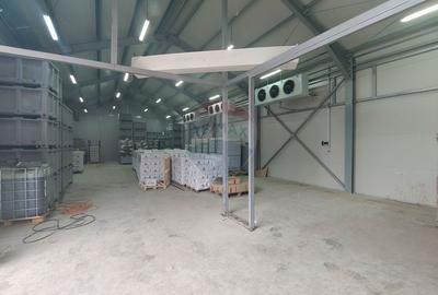 Spațiu industrial, de 292 mp, în Dumbrăveni - 9
