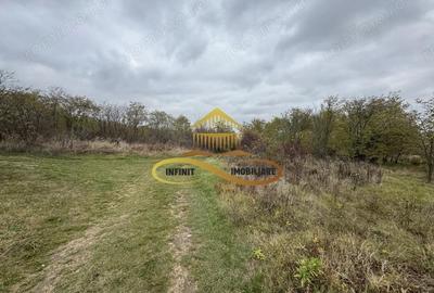 Teren intravilan in Fantanele | Hemeius - de vanzare - 2