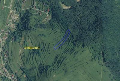 Teren agricol extravilan de 6432 mp, în Tăuți - 1
