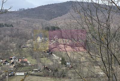 Teren Construcții intravilan de 2500 mp, în Valea Doftanei - 12