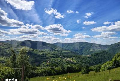 Casă cu 3 camere cu Teren 3000 Mp în Gilău - 7