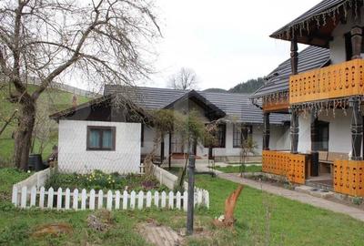 Casa de vacanta si anexe in  Stulpicani - 2