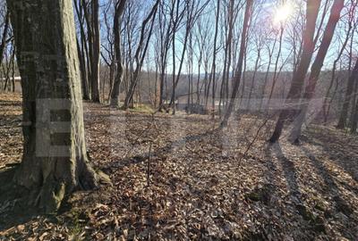 Teren cu sufrafata de 1100 mp in Padurea Faget - 4