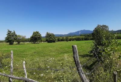 Teren de 9350 mp, în Exterior Vest - 5