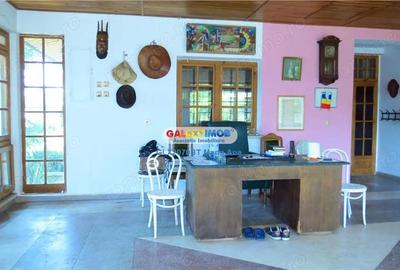Oportunitate Exceptionala: Casa cu Teren Generos, zona Lebada! - 13