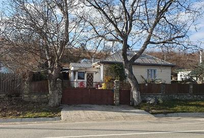 Casă cu 3 camere cu Teren 2000 Mp în Deleni - 2