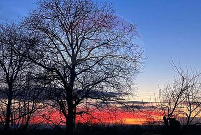 Proprietate in mijlocul naturii 8514 mp teren ?i ?ura tradi?ionala - 1