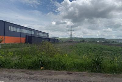 Teren Construcții intravilan de 5800 mp, în Apahida