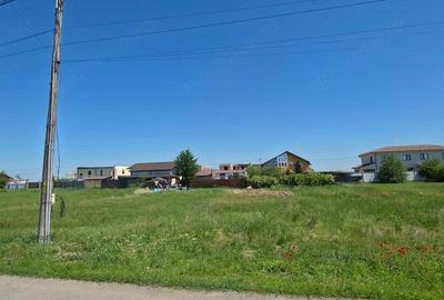 Teren de 713 mp, în Dumbrăvița - 2