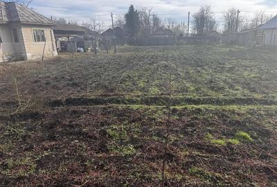 Casă individuală cu 4 camere cu Teren 1550 Mp în Fulga de Jos - 3