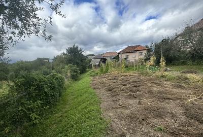 Casă cu 2 camere cu Teren 6605 Mp în Albești - 2