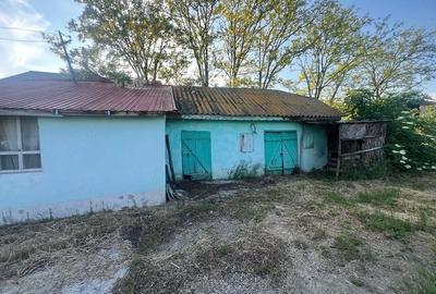 Casă cu 4 camere cu Teren 3000 Mp în Țigănași - 5