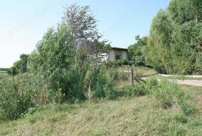Belciugatele - langa Complexul Valea Iazurilor, 19720 mp. teren intravilan, deschidere la balta - 2