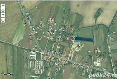 Teren de 5000 mp, în Ardud - 1