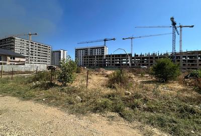 Militari, Auchan, Mall Chiajna - 1