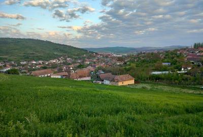 Teren de 2983 mp, în Târnăveni - 7