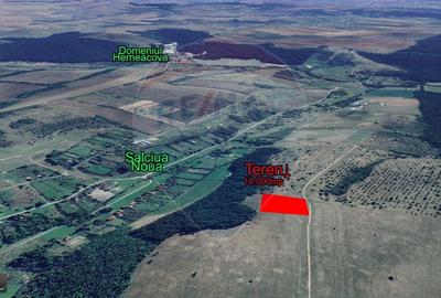 Teren Salciua Noua (comuna Pischia) 10.000mp - 1