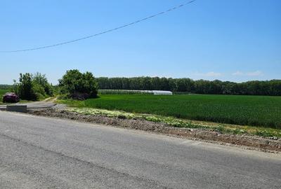 Teren Construcții intravilan de 17714 mp, în Bălteni - 4