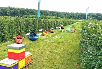 Teren Snagov Izvorani, loturi 500 - 1000Mp - 4