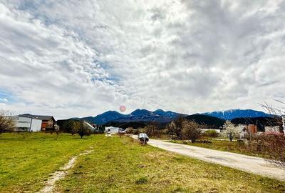 Teren de 1160 mp, în Astra - 8