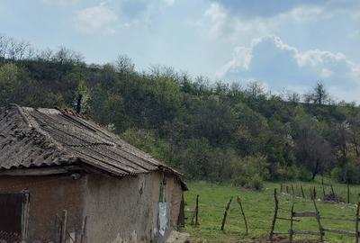 Teren intravilan 3109mp - 3