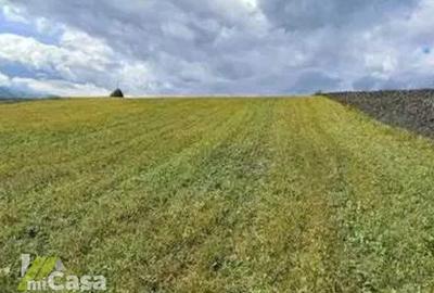 Teren intravilan– sat Șivița, comuna Tulucești, jud. Galați - 1