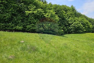 Teren Ilisesti  7000mp extravilan/ DN 17, Suceava - 33