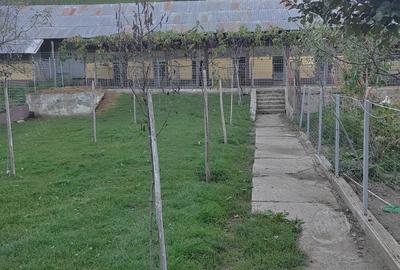 Gospodarie langa Deva - 2