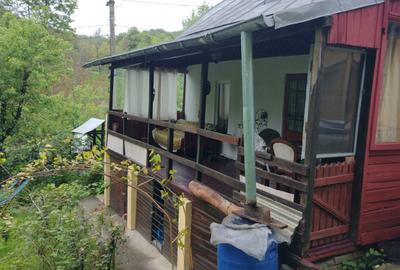 Casă de vacanță superbă în Provita de Jos, zona Câmpina –Prahova Telega - 3