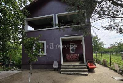 Vila Bolintin Vale - 30