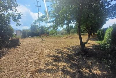 Gradina de vanzare intre Cristian si Orlat - 4