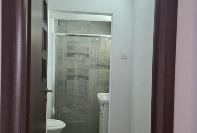 Apartament cu 2 camere, mobilat în Romană - 6