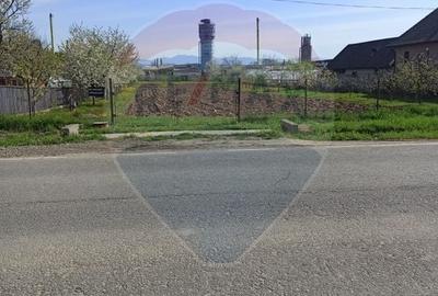 Teren Construcții intravilan de 4076 mp, în Sarasău - 4