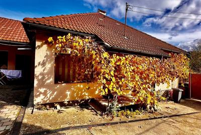 Casa de vanzare in Sacele, toate utilitatile - 9