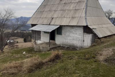 Casă cu 2 camere în Horea - 2
