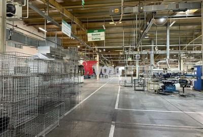 Proprietate Industriala 7000 mp hala in Calea Sagului Timisoara - 5