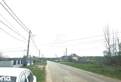 Teren de 5624 mp, în Dănești - 4