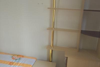 Piata Alba Iulia, Burebista, Decebal - 3