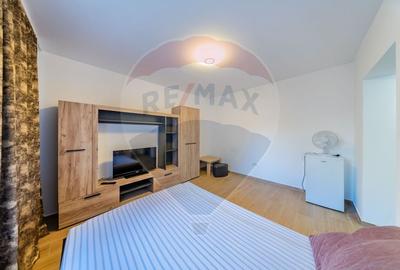 Garsoniera renovata la cheie de inchiriat zona 6 Vanatori,Arad - 8