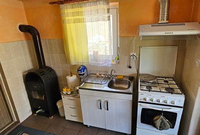 Casă cu 3 camere în Chiochiș - 6