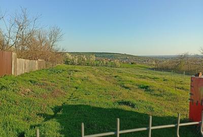 Spațiu comercial, în Cornetu - 5