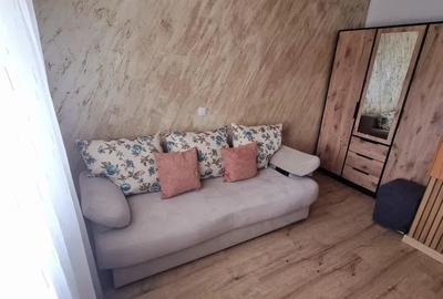 Casa tip duplex, curte + 2 locuri de parcare, zona Triaj - 3