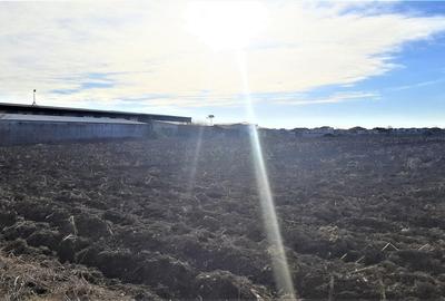 Otopeni - Strada Alexandru Ioan Cuza - 6