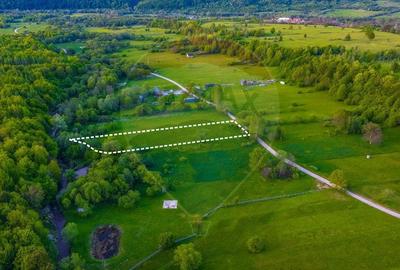 Teren agricol extravilan de 3352 mp, în Șinca Nouă - 3