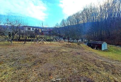 Teren construibil 1195 mp, Faget (incadrare urbanistica LID) - 5