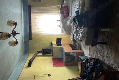 Vand casa batraneasca Semlacul Mic, com Gataia - 3