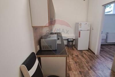 Apartament cu 2 camere decomandat, mobilat în Craiovița Nouă